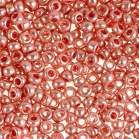 18191 брусника