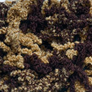 569